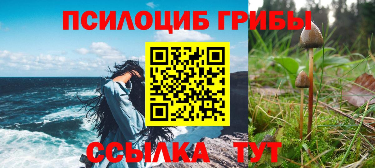 Губкинский  Псилоцибиновые грибы прущие грибы  Вход с VPN 